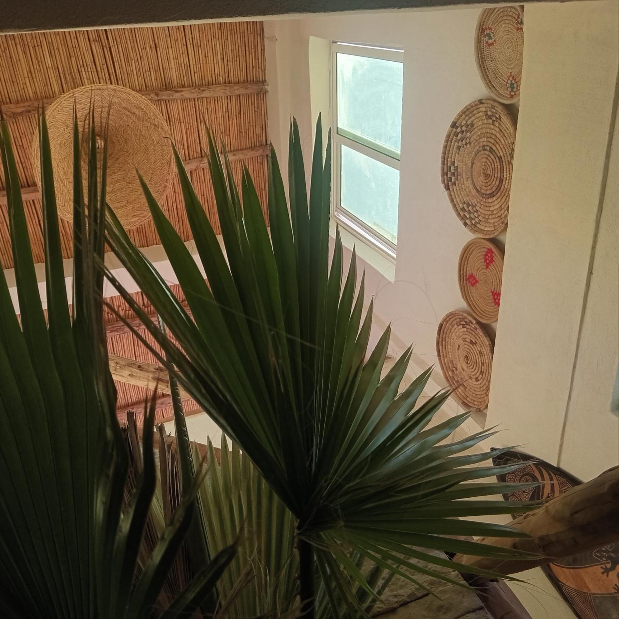 Moroccan Boho Surf House *
